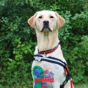 Meet your Posher, Kendra